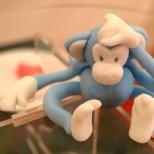 How to mold animals from plasticine for children: domestic, wild, marine