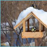 Domček pre vtáčiky z lepenky pre domácich majstrov Papierový domček pre vtáky pre domácich majstrov
